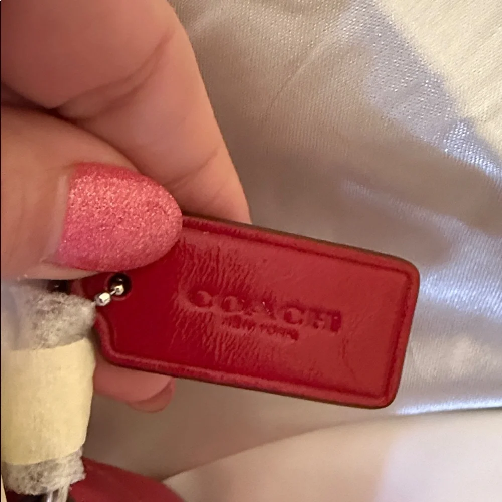 ♥️Coach NWT Red Crinkle Cut Leather Ashton Mini Shoulder Bag withSilver Hardware - Picture 8 of 9